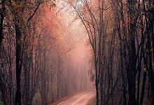 南宫28官网：有5人曾6夺欧冠！魔笛上榜，梅罗无缘，一人用冠.